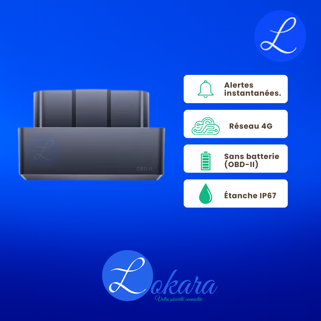 🚗 🔌 Auto OBD-II