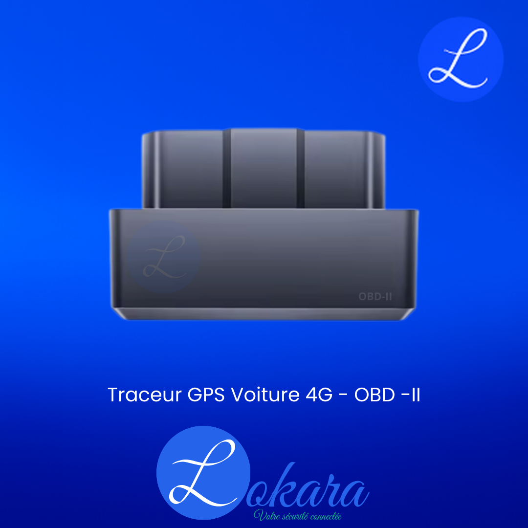 🚗 🔌 Auto OBD-II