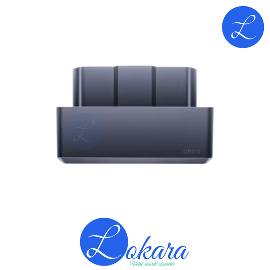 🚗 🔌 Auto OBD-II
