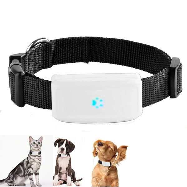 Suivi GPS pour Animaux